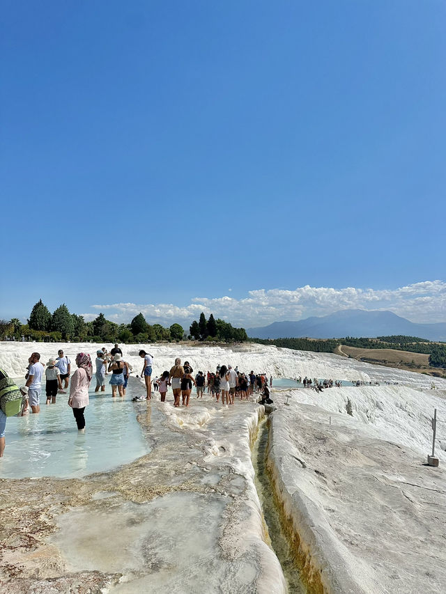 ์๋ฆ๋ค์ด ์ฌํ์ง ์ด๊ณณ ์๋ฆ๋ค์ด ์ฌํ์ง ์ด๊ณณ