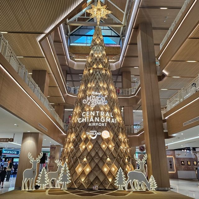 พิกัด : ถ่ายรูปต้นคริสต์มาส ทำจากไม้ไผ่+งานจักสาน