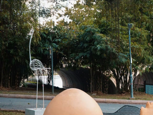 Urban Birding: Putrajaya’s Hidden Nature Hotspot 🕊️ Urban Birding: Putrajaya’s Hidden Nature Hotspot 🕊️