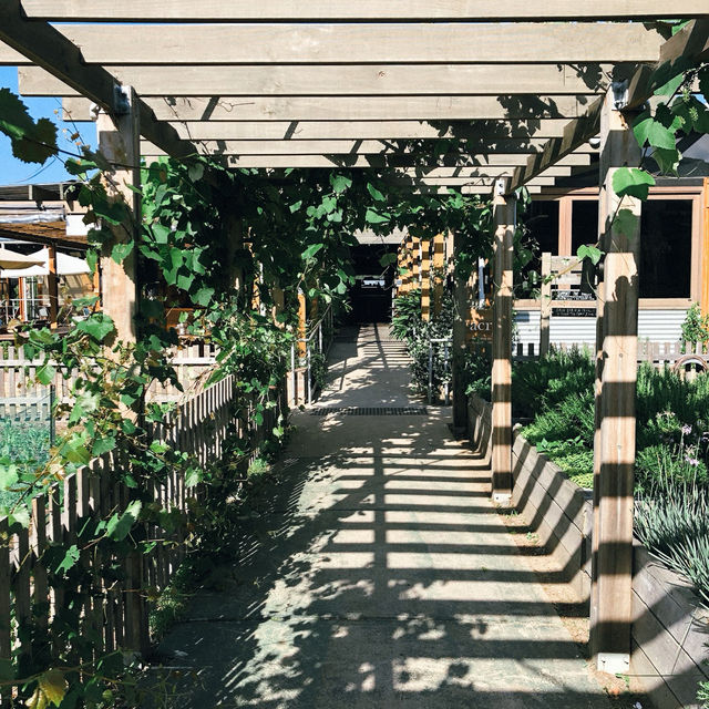 Camperdown Commons: ฟีลบ้านสวนกลางเมืองที่ต้องมา Camperdown Commons: ฟีลบ้านสวนกลางเมืองที่ต้องมา