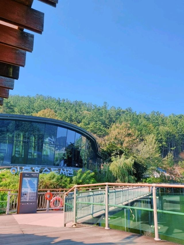 전주 나들이 📍아중호수도서관