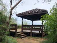 《屏東龜山步道:海景、山景一次滿足的輕量散步路線》