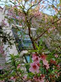 在安靜的巷弄裡,當個無聲的過客