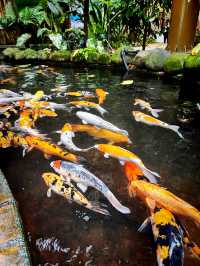 πΈπ A Floral Christmas Escape at 1 Utama ππΈ