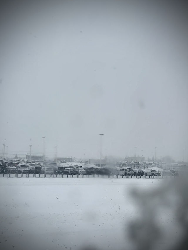 用雙眼、雙腳走進北海道的雪白世界裡