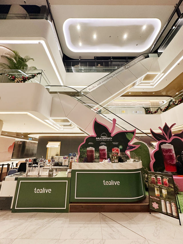 미식 감성으로 물든 연말, 스타힐 갤러리