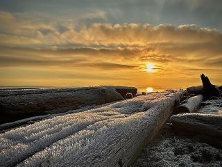 Tavassen, a small town at the southern tip of Vancouver embraced by the Pacific Ocean, boasts one of BC's most healing beaches—Centennial Beach. On a chilly winter morning, the -3°C frost doesn't diminish the beach's beauty; instead, it makes the plant roots shimmer with unique ice crystals, bathing the entire sunrise in a dreamlike filter. If you crave a winter-limited natural baptism and aren't too afraid of the cold, why not get up early and head straight there?