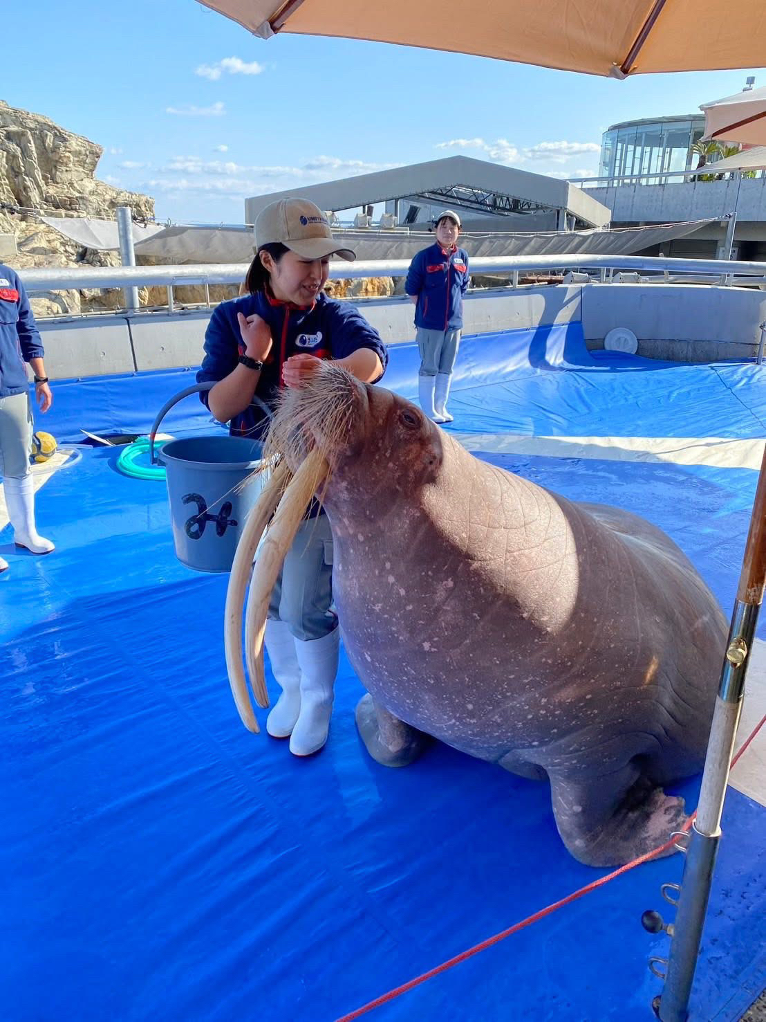 Adults find relaxation, kids burn energy! A stylish aquarium by Beppu Bay.