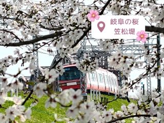 【岐阜】櫻花、鐵路橋、紅色名鐵列車🌸 隱藏拍照點