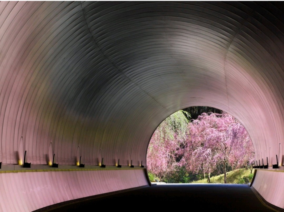 You're Missing Out! An Insanely Beautiful Museum with a Tunnel to Another World.