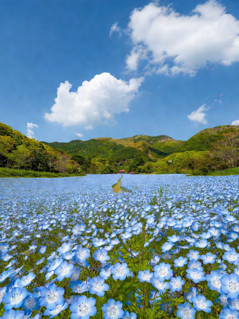 The Most Beautiful Flower Landscape I've Ever Seen | Trip.com