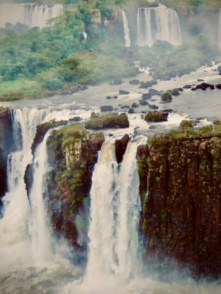 Argentina Chubut Río Pico Mossy Andean Cypress Forest Traileasytravelpost