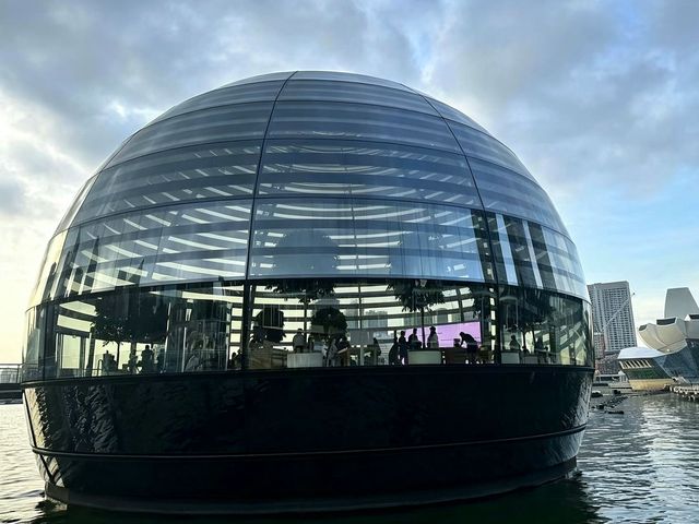 ✨Marina Bay Stroll: Singapore’s Insta-Worthy Adventure