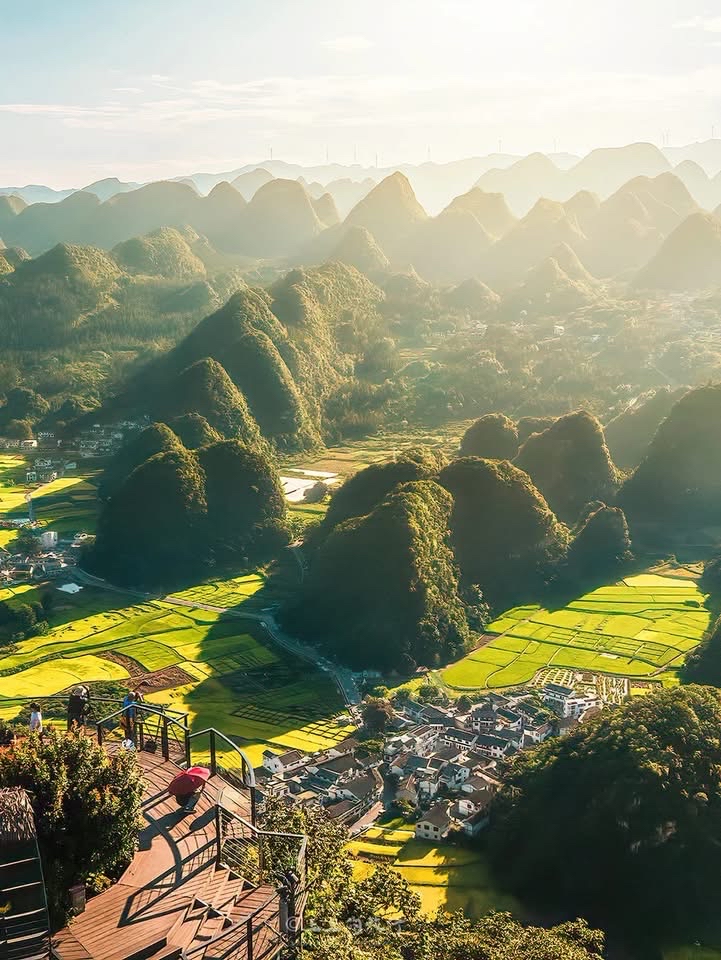 A Guide to Wanfenglin, Guizhou: Exploring Golden Mustard Fields Amidst the Forest of Ten Thousand Peaks!