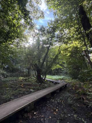 Japan's second-oldest botanical garden is right here in Sapporo!