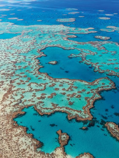 GREAT BARRIER REEF, AUSTRALIA 🇦🇺 — EXPLORE THE WORLD’S LARGEST CORAL REEF ECOSYSTEM