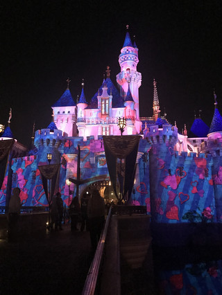 🇺🇸【アナハイム】Disneyland After Dark♡ Sweethearts' Nite