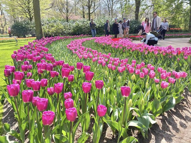 The Most Beautiful Spring Garden in the World