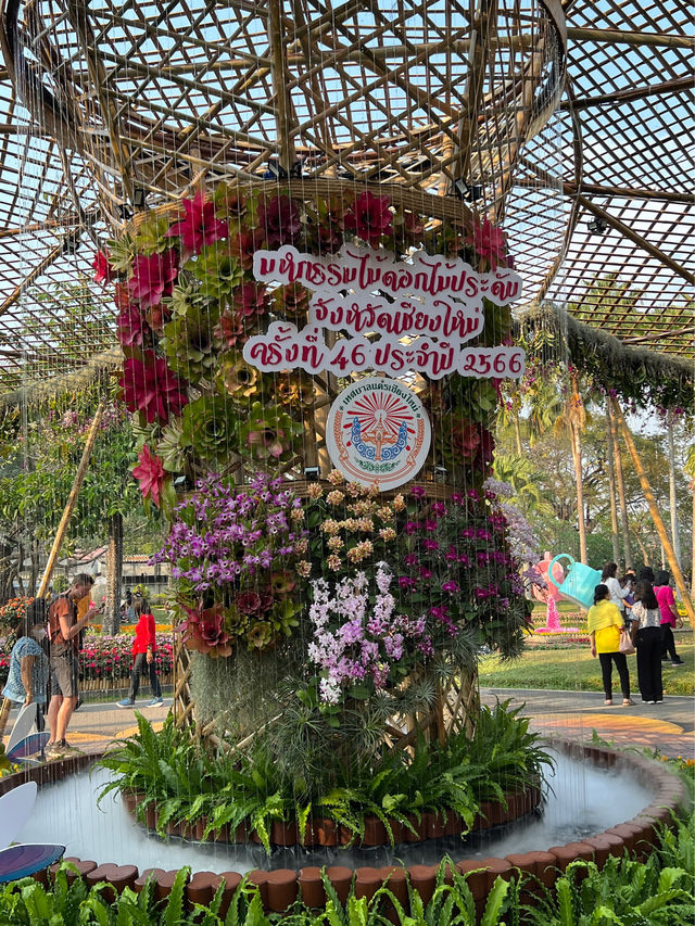 🌸🌺 Chiang Mai Flower Festival🇹🇭