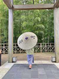【箱根を代表する名旅館】和の伝統と現代のスマートさを感じる一流旅館