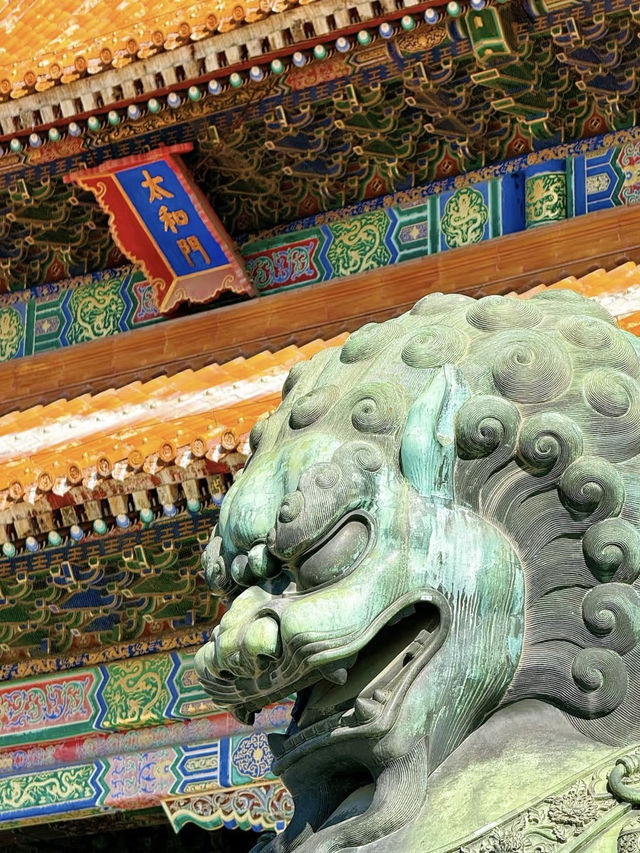 那一年，我在故宮仰望蒼穹，在泰國擁抱夏天