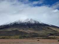 🌋 Cotopaxi 火山遊攻略｜從基多出發