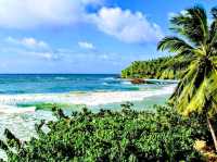 Mirissa Beach