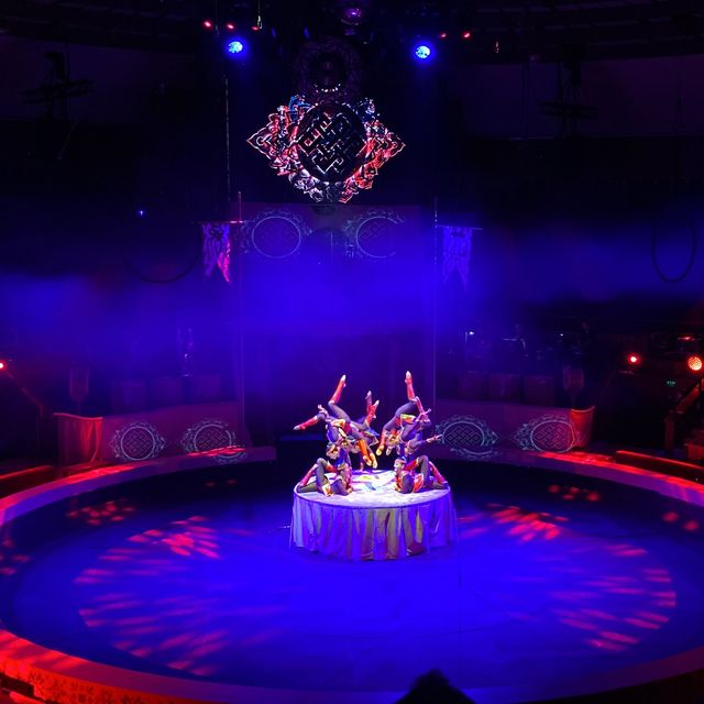 🇭🇺 BEST Circus Experience! 🤹‍♀️