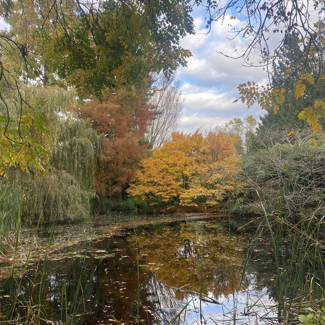 site seeing in cambridge 