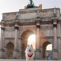 Historic Splendor close to the Louvre