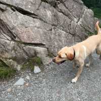 英國湖區 Lake District - Rydal Cave 湖邊洞穴