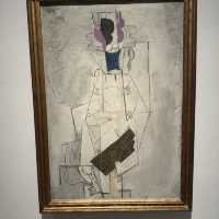 Amazing experience of Picasso Art