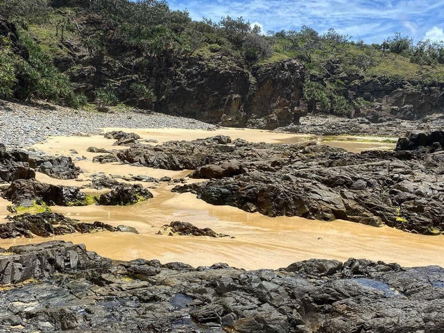 Noosa National Park 🌴