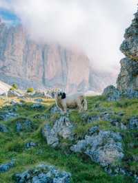 Gardena Pass