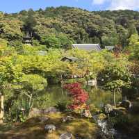 Journey Through Kyoto