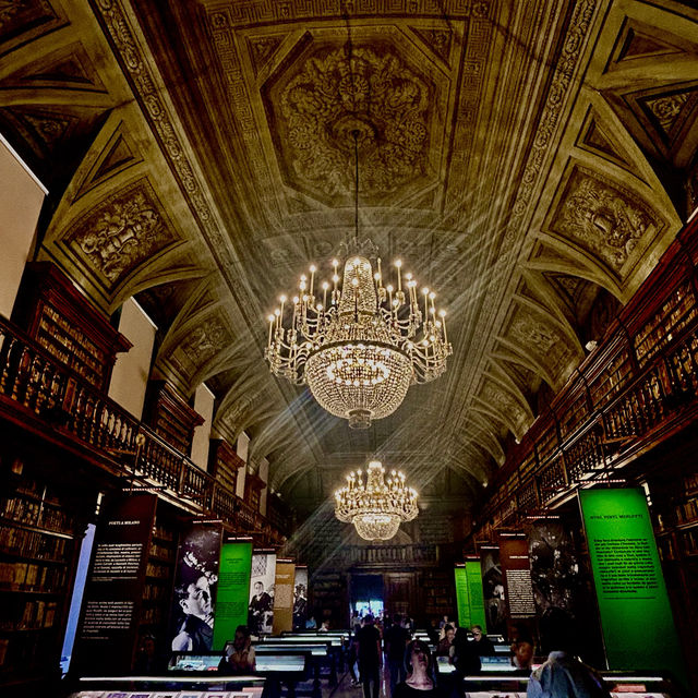 The great Brera museum 