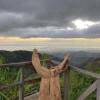 Adventure in Monteverde 🏕️