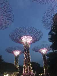 Gardens by the Bay: Singapore’s Futuristic Oasis of Nature and Wonder