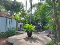 รีสอร์ตริมชายหาดเฉวง บรรยากาศร่มรื่น