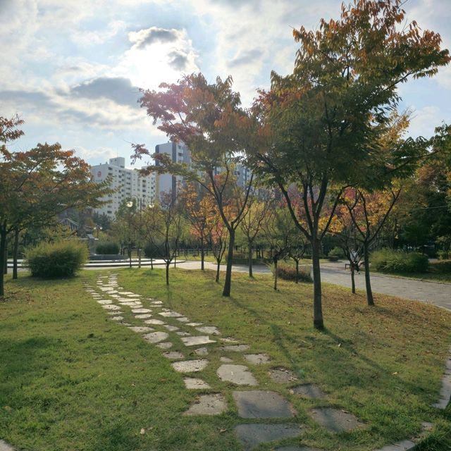 국내여행 대전 둔산동에 위치한 작고 예쁜 공원인 씨애틀공원