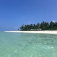 Beauty Beyond Words - Alif Alif Atoll 