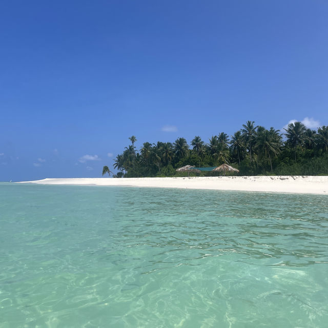 Beauty Beyond Words - Alif Alif Atoll 