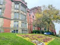 From Sheffield to the Peaks: A Journey from Academia to the Wild