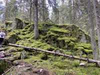 Foraging Adventure in Finnish National Park 🇫🇮 🍓🍄🌲