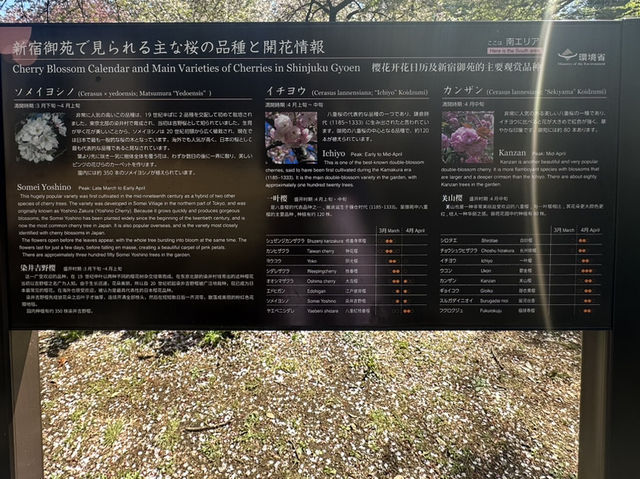 [Japan 2025 ] Yoyogi Koen April 2025