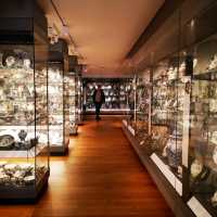 Ashmolean Impressions: Art, Culture, and Discovery in Oxford