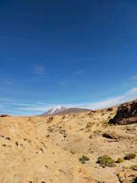 해외여행 볼리비아 Mirador Volcán Ollagüe 에서 먹은 라마 햄버거 