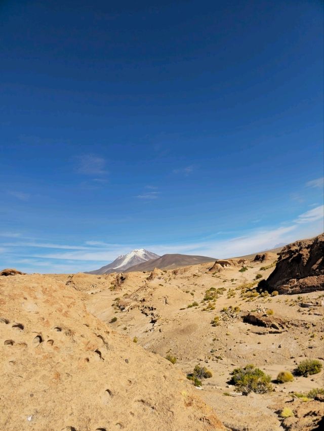 해외여행 볼리비아 Mirador Volcán Ollagüe 에서 먹은 라마 햄버거 