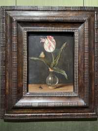 一日遊必去！探訪荷蘭莫瑞泰斯皇家美術館（Mauritshuis）🎨🏛️🌟  