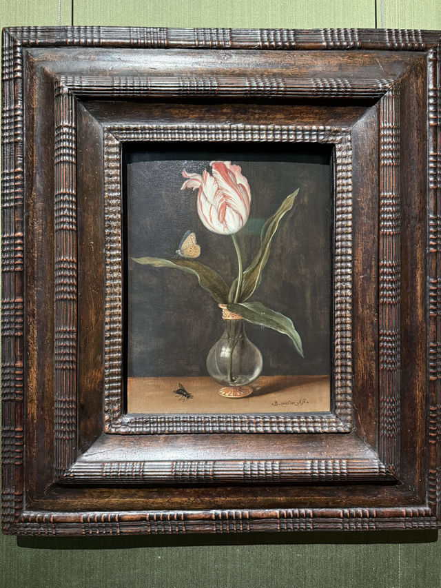一日遊必去！探訪荷蘭莫瑞泰斯皇家美術館（Mauritshuis）🎨🏛️🌟  